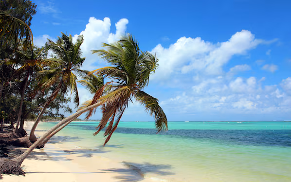 Bavaro Beach near Secrets Royal Beach Punta Cana with palm-lined white sand and turquoise Caribbean water