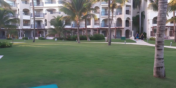 Secrets Garden lawn venue surrounded by palms at Secrets Royal Beach Punta Cana