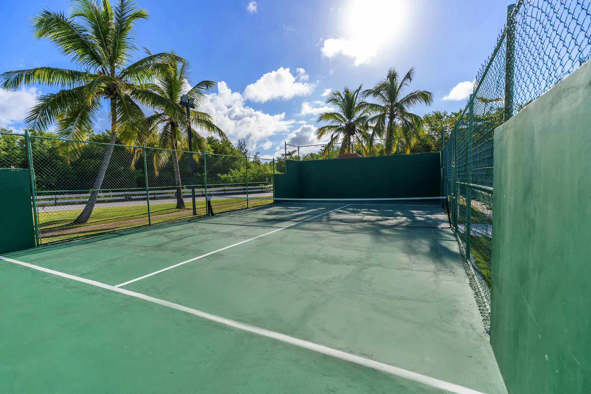 Outdoor pickleball court surrounded by palm trees at Secrets Royal Beach Punta Cana resort.